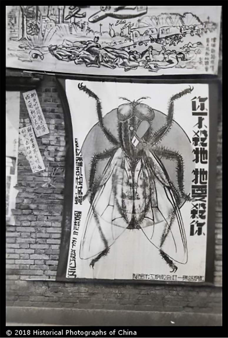 Tapestry of a fly with Chinese characters