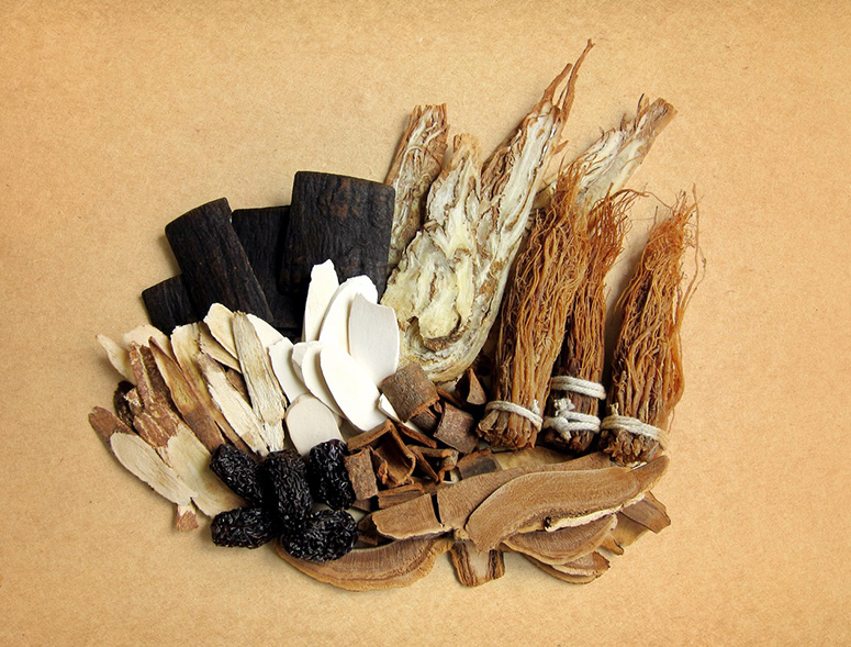 Figure 2. Common TCM Herbs for Soup