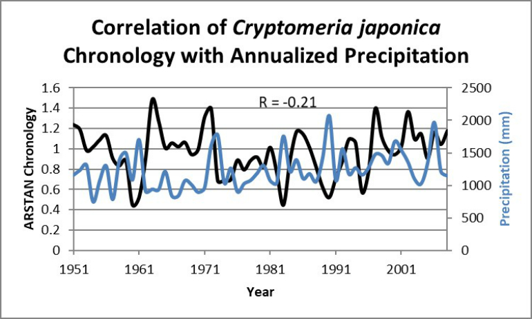 Graph of Correlation of Cryptomeria japonica, Chronology with Annualized Precipitation