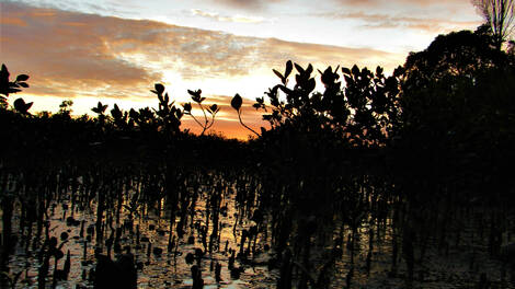 climate change research paper in the philippines