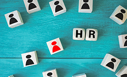 HR with people dice